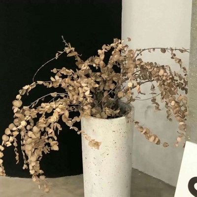 兽设花海场景绘制FurryQQ群